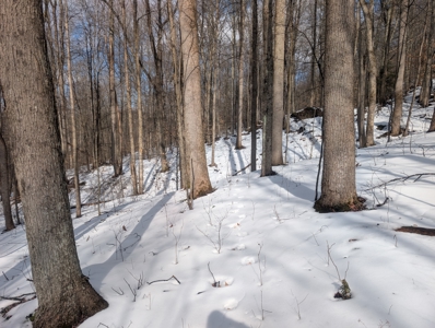 Beaver Pond and Hunting Beauty in Washington County Tract 15 - image 14