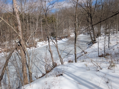 Beaver Pond and Hunting Beauty in Washington County Tract 15 - image 4
