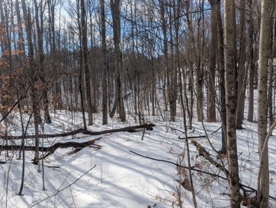 Beaver Pond and Hunting Beauty in Washington County Tract 15 - image 13
