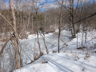 Beaver Pond and Hunting Beauty in Washington County Tract 15 - image 5