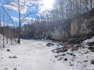 Beaver Pond and Hunting Beauty in Washington County Tract 15 - image 18
