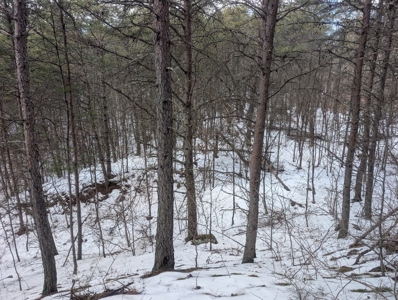 Beaver Pond and Hunting Beauty in Washington County Tract 15 - image 12