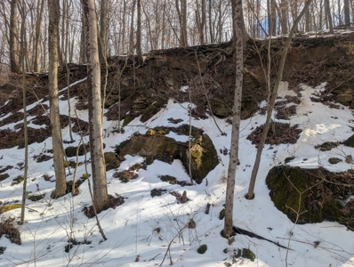 Beaver Pond and Hunting Beauty in Washington County Tract 15 - image 16