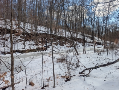 Beaver Pond and Hunting Beauty in Washington County Tract 15 - image 15
