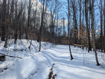 Beaver Pond and Hunting Beauty in Washington County Tract 15 - image 1