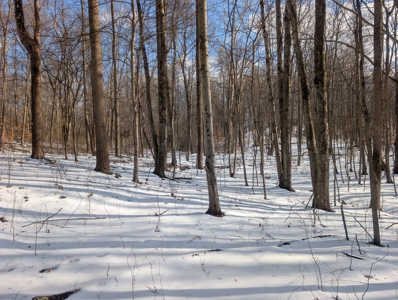 Beaver Pond and Hunting Beauty in Washington County Tract 15 - image 20
