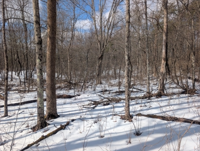 Beaver Pond and Hunting Beauty in Washington County Tract 15 - image 2