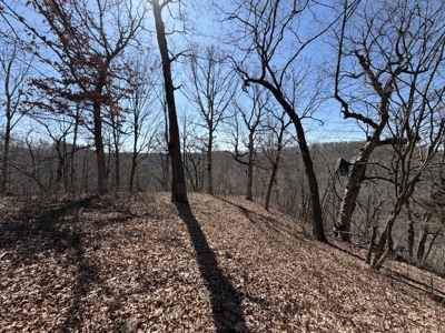 Country Home in SW Wisconsin Driftless Region For Sale - image 46