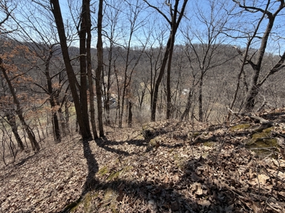 Country Home in SW Wisconsin Driftless Region For Sale - image 47