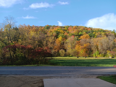 Country Home in SW Wisconsin Driftless Region For Sale - image 42