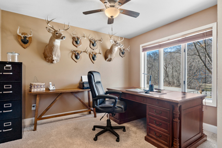 Country Home in SW Wisconsin Driftless Region For Sale - image 13