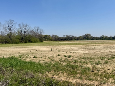 13 Acres for sale Houston County on Dillard Road in Pansey AL - image 3