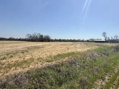 13 Acres for sale Houston County on Dillard Road in Pansey AL - image 5