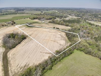 13 Acres for sale Houston County on Dillard Road in Pansey AL - image 6