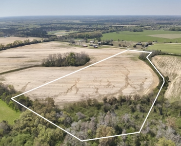 13 Acres for sale Houston County on Dillard Road in Pansey AL - image 8