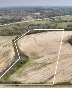 13 Acres for sale Houston County on Dillard Road in Pansey AL - image 4