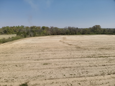 13 Acres for sale Houston County on Dillard Road in Pansey AL - image 9