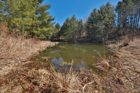 Legacy Farm & Country Estate in Hillsboro, WI | Trophy Hunting - image 36