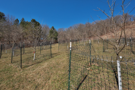 Legacy Farm & Country Estate in Hillsboro, WI | Trophy Hunting - image 39