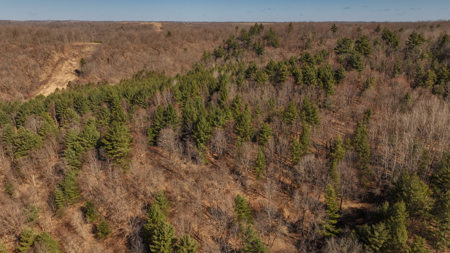 Legacy Farm & Country Estate in Hillsboro, WI | Trophy Hunting - image 42