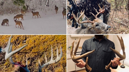 Legacy Farm & Country Estate in Hillsboro, WI | Trophy Hunting - image 46