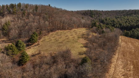 Legacy Farm & Country Estate in Hillsboro, WI | Trophy Hunting - image 38