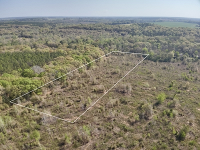 5.14 Acres of Land for sale Hartford, Alabama Geneva County - image 3