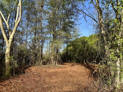 5.14 Acres of Land for sale Hartford, Alabama Geneva County - image 1