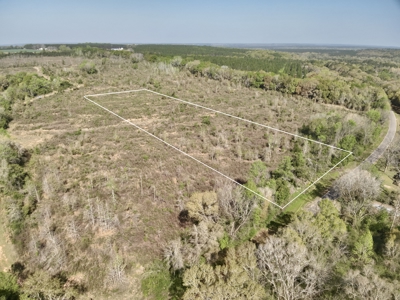 5.47 Acres of land for sale in Hartford, AL Geneva County - image 2