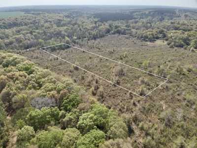 5.47 Acres of land for sale in Hartford, AL Geneva County - image 4