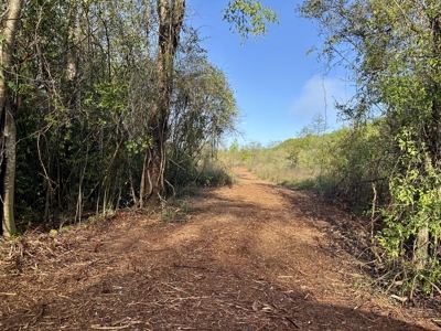 5.47 Acres of land for sale in Hartford, AL Geneva County - image 1