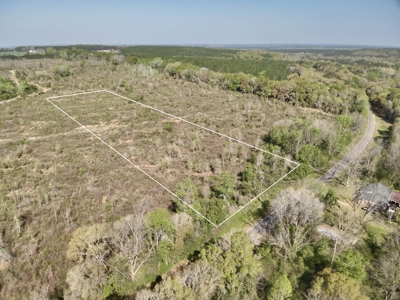5.47 Acres of land for sale in Hartford, AL Geneva County - image 3