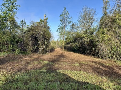 5.58 Acres for sale Hartford, AL Geneva County - image 1