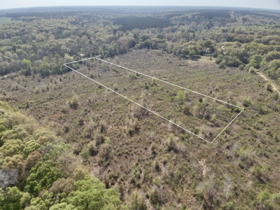 5.58 Acres for sale Hartford, AL Geneva County - image 3