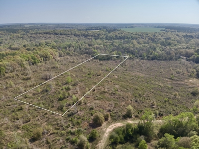 5.58 Acres for sale Hartford, AL Geneva County - image 2
