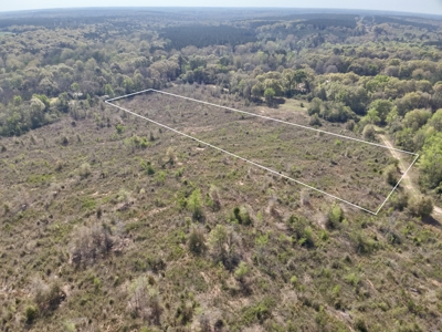 5.65 Acres for sale in Hartford, AL Geneva County - image 4
