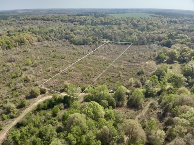5.65 Acres for sale in Hartford, AL Geneva County - image 3