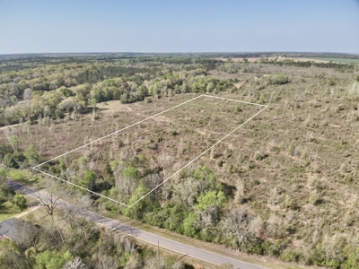 5.65 Acres for sale in Hartford, AL Geneva County - image 2