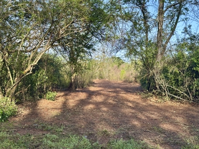 5.65 Acres for sale in Hartford, AL Geneva County - image 1