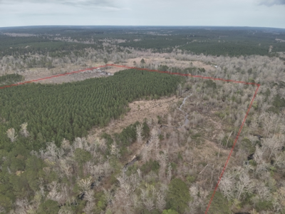 Arkansas Timber W/ Creek Habitat W/ Public Land Frontage For Sale - image 2