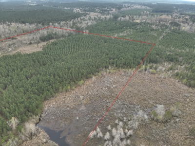 Arkansas Timber W/ Creek Habitat W/ Public Land Frontage For Sale - image 5