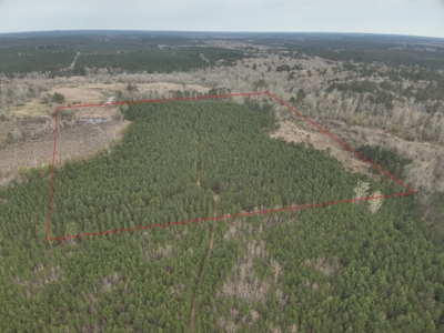 Arkansas Timber W/ Creek Habitat W/ Public Land Frontage For Sale - image 1