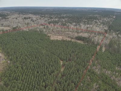 Arkansas Timber W/ Creek Habitat W/ Public Land Frontage For Sale - image 8