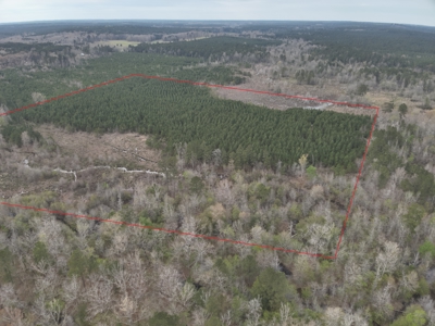 Arkansas Timber W/ Creek Habitat W/ Public Land Frontage For Sale - image 7