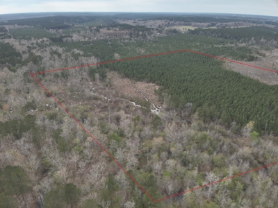 Arkansas Timber W/ Creek Habitat W/ Public Land Frontage For Sale - image 6