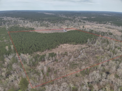 Arkansas Timber W/ Creek Habitat W/ Public Land Frontage For Sale - image 3