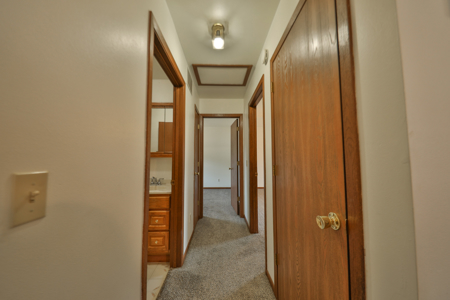 Affordable Country Ranch in Grand Marsh, WI | Ideal Starter Home - image 11