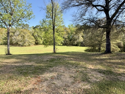 Secluded Country Home on 9.9ac Located N of Hartford Alabama - image 15