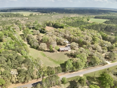 Secluded Country Home on 9.9ac Located N of Hartford Alabama - image 5