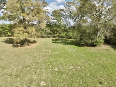 Secluded Country Home on 9.9ac Located N of Hartford Alabama - image 10